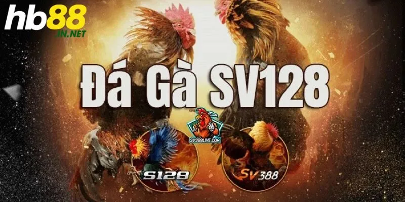 Giới thiệu sảnh đá gà SV128